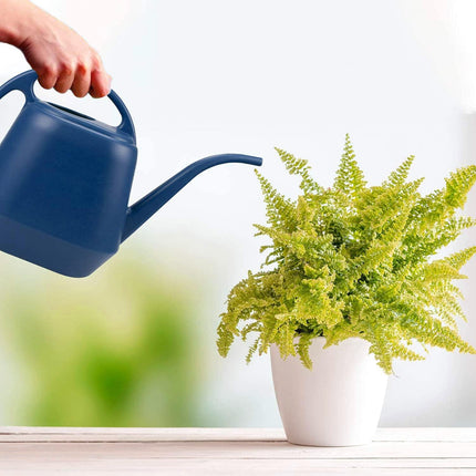 1 Gallon Blue Watering Can for Indoor Outdoor Plants.