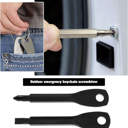 2-in-1 Keychain Screwdriver - Mini Double-Ended Flat & Cross Head - Stainless Steel - Pocket-Sized Tool - Silver.
