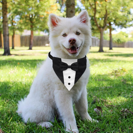 Formal Dog Smoking Set Collar Neckband Adjustable 12.5-21 Inch Black Formal Dog Dress for Wedding Engagement Birthday Fits Small Medium Large Dogs and Other Pets.