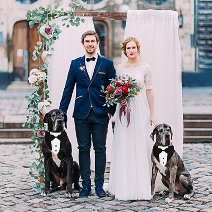 Formal Dog Smoking Set Collar Neckband Adjustable 12.5-21 Inch Black Formal Dog Dress for Wedding Engagement Birthday Fits Small Medium Large Dogs and Other Pets.