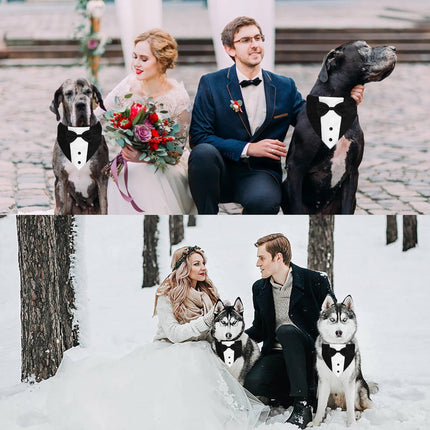 Formal Dog Smoking Set Collar Neckband Adjustable 12.5-21 Inch Black Formal Dog Dress for Wedding Engagement Birthday Fits Small Medium Large Dogs and Other Pets.