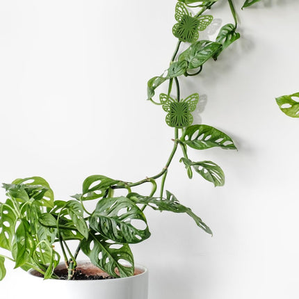 30 Green Butterfly Leaf Plant Clips Invisible Wall Plant Support Hooks Vinyl Cross Brackets for Indoor Outdoor Climbing Plants.
