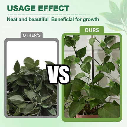 30 Green Butterfly Leaf Plant Clips Invisible Wall Plant Support Hooks Vinyl Cross Brackets for Indoor Outdoor Climbing Plants.
