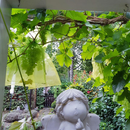 Home & Garden Cartoz.