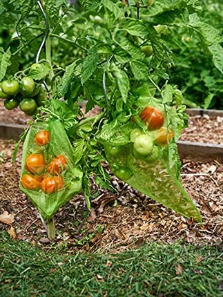 Home & Garden Cartoz.