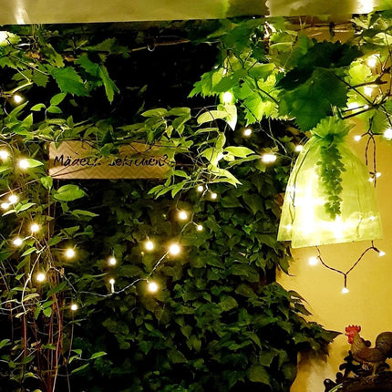 Home & Garden Cartoz.