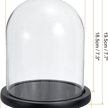 Glass Dome with Black Wooden Base - Clock Shaped Display Case - Home Decor - Desk Ornament - Christmas Decoration for Indoor Use.