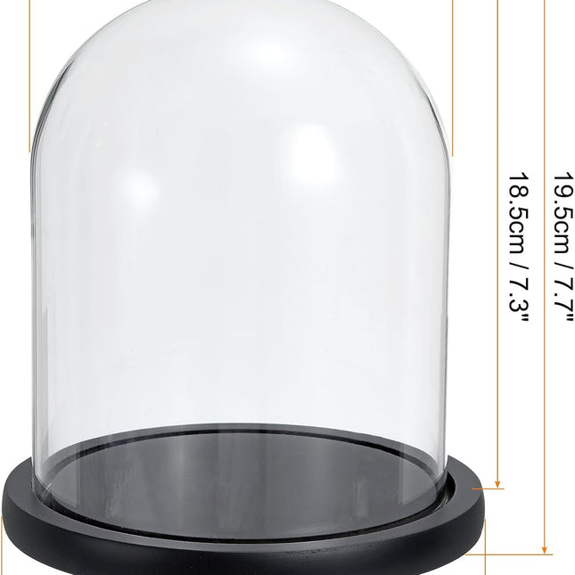 Glass Dome with Black Wooden Base - Clock Shaped Display Case - Home Decor - Desk Ornament - Christmas Decoration for Indoor Use.