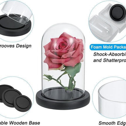 Glass Dome with Black Wooden Base - Clock Shaped Display Case - Home Decor - Desk Ornament - Christmas Decoration for Indoor Use.