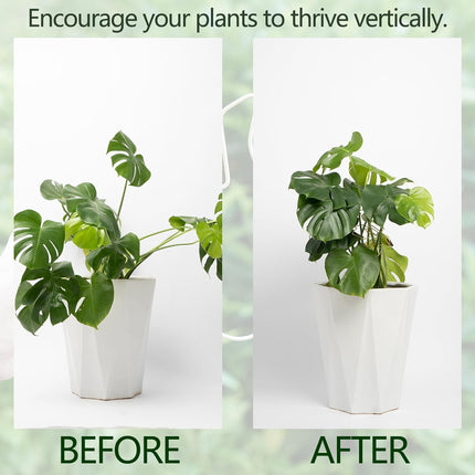 Gold Indoor Plant Stand for Climbing Plants - Plant Support Holder.