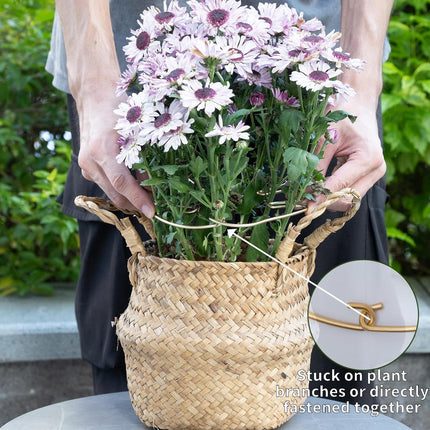 Gold Indoor Plant Stand for Climbing Plants - Plant Support Holder.