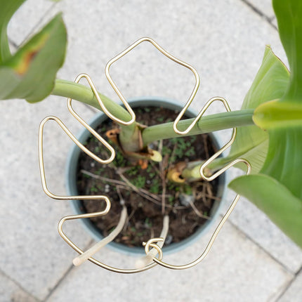 Gold Indoor Plant Stand for Climbing Plants - Plant Support Holder.