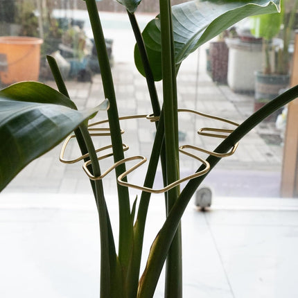 Gold Indoor Plant Stand for Climbing Plants - Plant Support Holder.