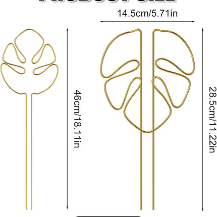 2 Pack Gold Plant Supports Indoor Outdoor Plant Stakes Clips Plant Stand for Plant Support.
