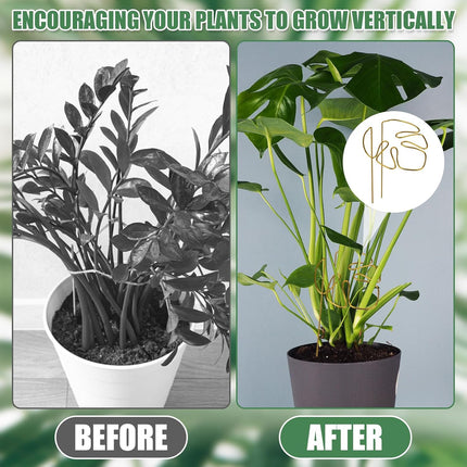 2 Pack Gold Plant Supports Indoor Outdoor Plant Stakes Clips Plant Stand for Plant Support.