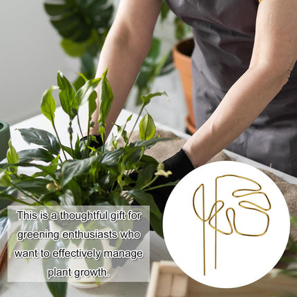 2 Pack Gold Plant Supports Indoor Outdoor Plant Stakes Clips Plant Stand for Plant Support.