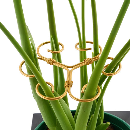 10.5cm x 10.5cm Gold Plant Stem Supports 4 Pack - Indoor Plant Stakes for Tall Plants, Monstera - Plant Anchoring Hooks for Indoor Gardens.
