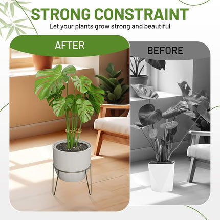 10.5cm x 10.5cm Gold Plant Stem Supports 4 Pack - Indoor Plant Stakes for Tall Plants, Monstera - Plant Anchoring Hooks for Indoor Gardens.