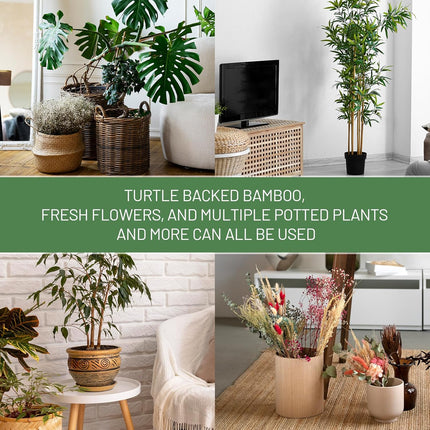 10.5cm x 10.5cm Gold Plant Stem Supports 4 Pack - Indoor Plant Stakes for Tall Plants, Monstera - Plant Anchoring Hooks for Indoor Gardens.