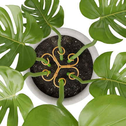 10.5cm x 10.5cm Gold Plant Stem Supports 4 Pack - Indoor Plant Stakes for Tall Plants, Monstera - Plant Anchoring Hooks for Indoor Gardens.
