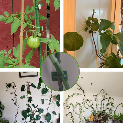 Green Plant Stem Supports for Indoor Use - Tall Plant Stakes for Monstera - Plant Anchoring Clips - 120 Pieces.