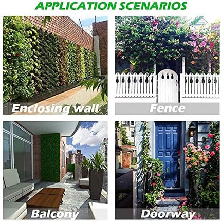 Home & Garden Cartoz.