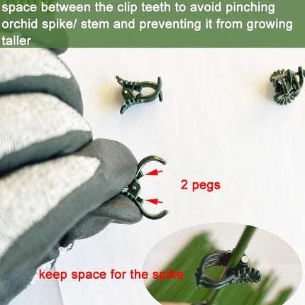 40 Reusable Plant Support Clips - Garden Tool for Supporting and Guiding Plants and Flowers.