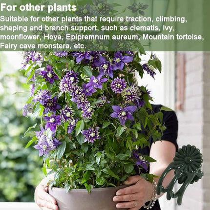 40 Reusable Plant Support Clips - Garden Tool for Supporting and Guiding Plants and Flowers.