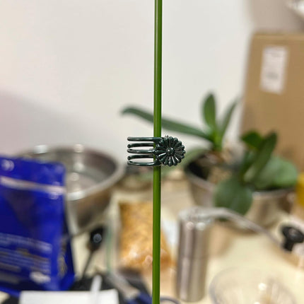 40 Reusable Plant Support Clips - Garden Tool for Supporting and Guiding Plants and Flowers.