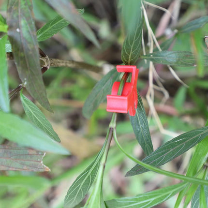 40 Pcs 90 Degree Plant Trainers Reusable Support Clips for Tomatoes Fruit Trees Greenhouse Use Red.