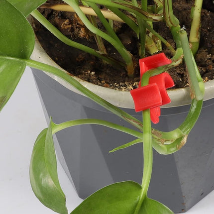40 Pcs 90 Degree Plant Trainers Reusable Support Clips for Tomatoes Fruit Trees Greenhouse Use Red.