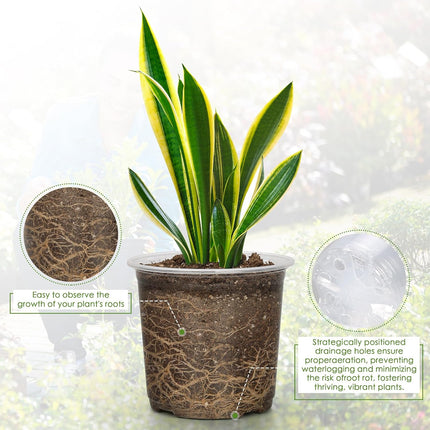20-Pack Clear Plant Pots with Trays 4/5/6/7 Inch for Succulents Orchids Cuttings.