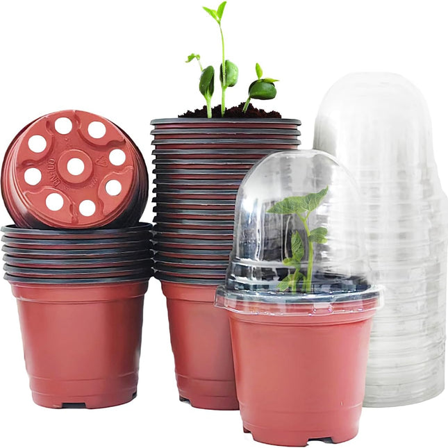 Home & Garden.