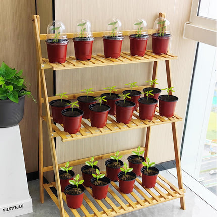 Home & Garden Cartoz.