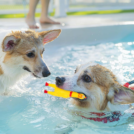 20PCS Squeaky Rubber Chickens, Screaming Chickens Bulk Prank Novelty Toys Pet Toys for Party Favors Family Game Dog Toys Noise Maker.
