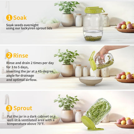 Complete Sprouting Kit - 2 Large Wide-Mouth Mason Jars 32 Oz, 2 Foldalbe Screen Lids with Draining Stand, 2 l Canning Lids, Bean Sprouts Grow Kit for Broccoli alfalfa.