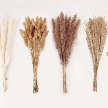 Artificial Pampas Grass Decor, 100 PCS Pampas Grass Contains Bunny Tails Dried Flowers, Reed Grass Bouquet for Wedding Boho Flowers Home Table Decor, Rustic Farmhouse Party (White and Brown).