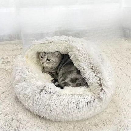 Pet Care Cartoz.
