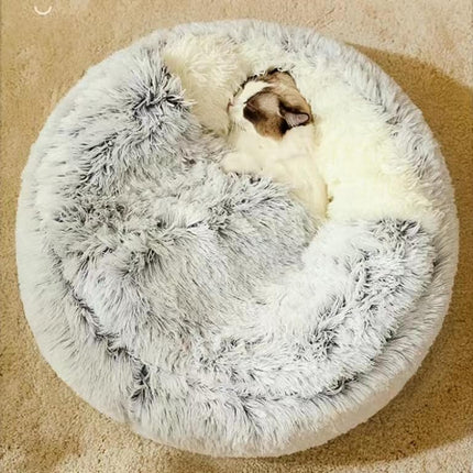 Pet Care Cartoz.