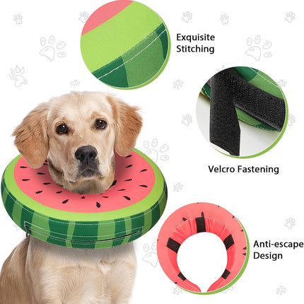 Pet Care Cartoz.