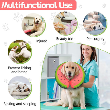 Pet Care Cartoz.