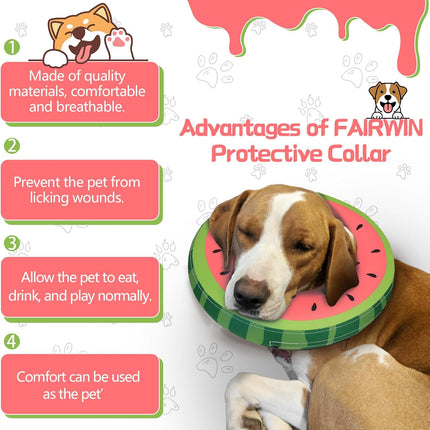 Pet Care Cartoz.
