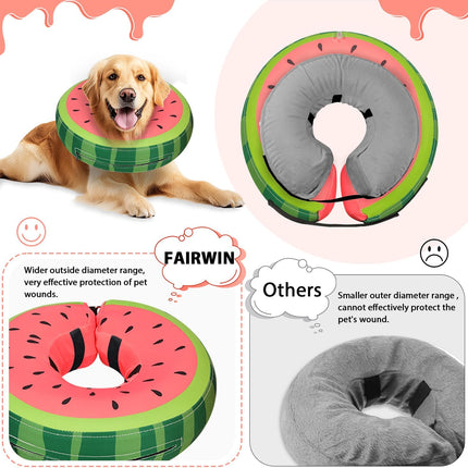 Pet Care Cartoz.