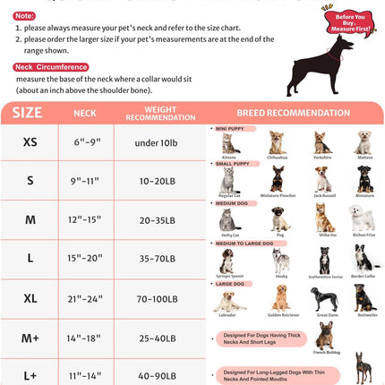 Pet Care Cartoz.