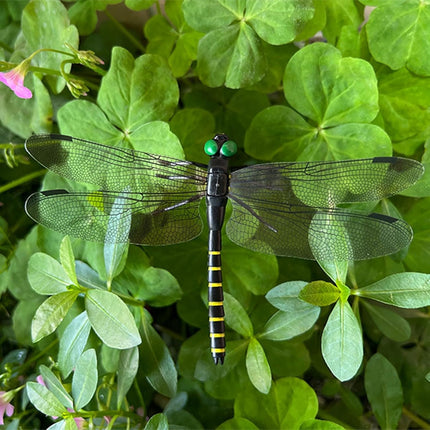 20 Pcs Dragon Fly Clips for Bugs Repellent, 3D Artificial Dragonfly Hat Clip, Dragonfly Garden Decor (20, Black*20 Pcs).
