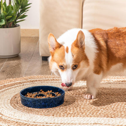 Slow Feeder Dog Bowl, 1.5 Cups Ceramic Slow Feeder for Medium Breed, Puzzle Maze Dog Food Bowl for Fast Eater, Blue.