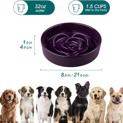 Pet Care Cartoz.
