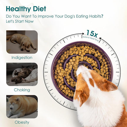 Pet Care Cartoz.
