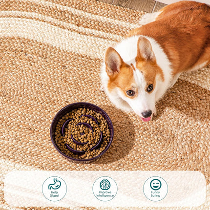 Pet Care Cartoz.