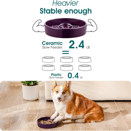 Pet Care Cartoz.